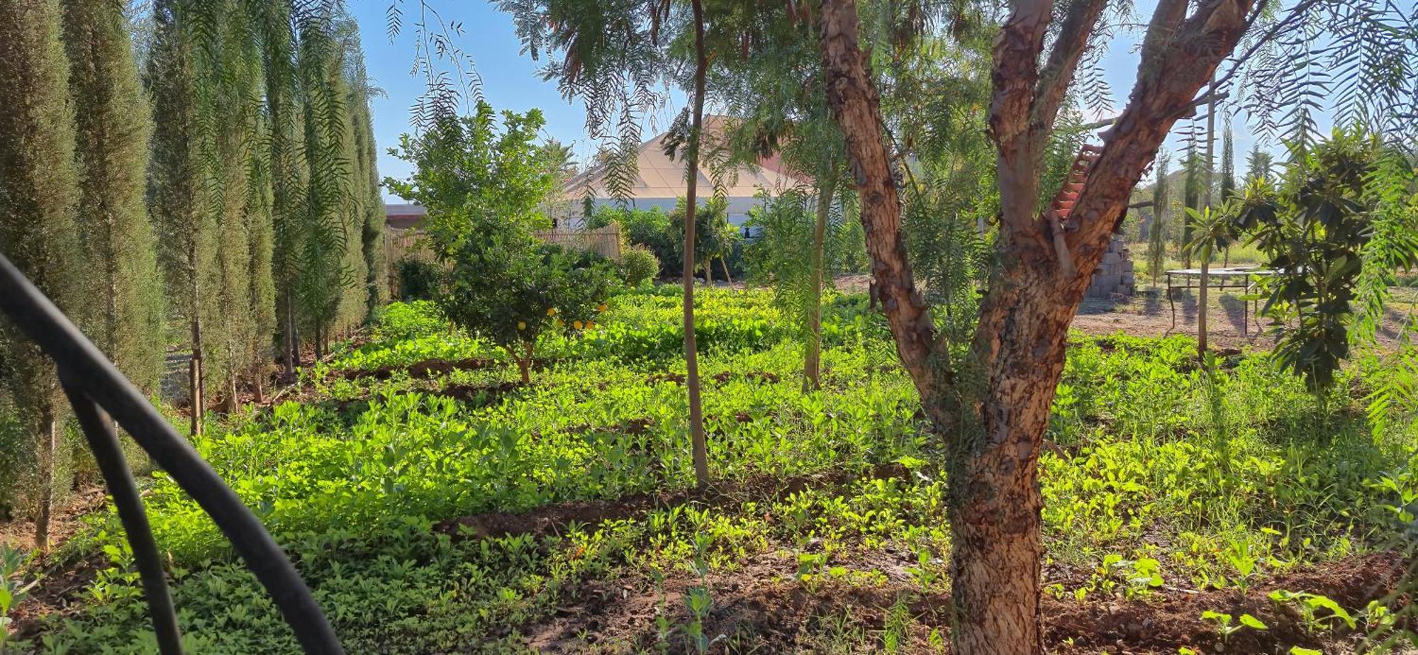 La Terra Rosa Hotel Douar Akkara Exterior foto